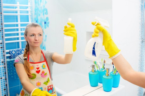 Putney exterior wall and cladding cleaning service
