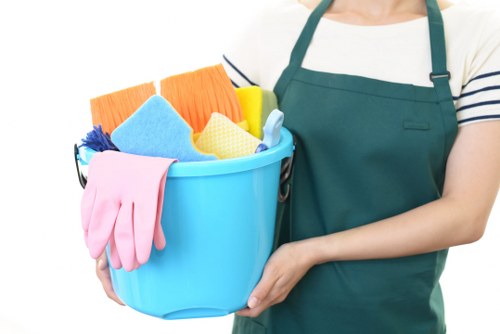 Sofa cleaning service for a Putney living room