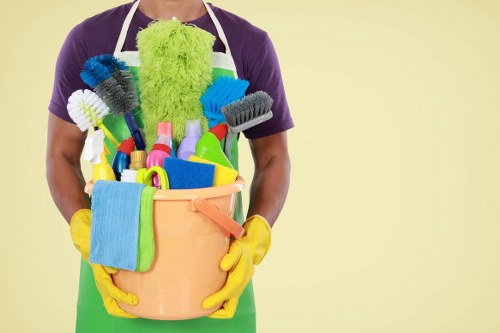Professional stain removal for carpets and soft furnishings in Putney