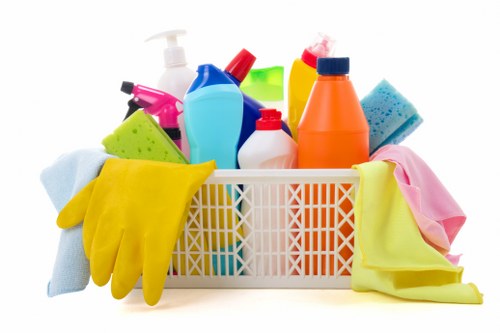 Cleaning equipment used for pet stain odour removal in Putney