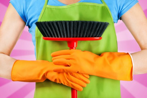 Specialist odour removal for pet stains in a Putney home