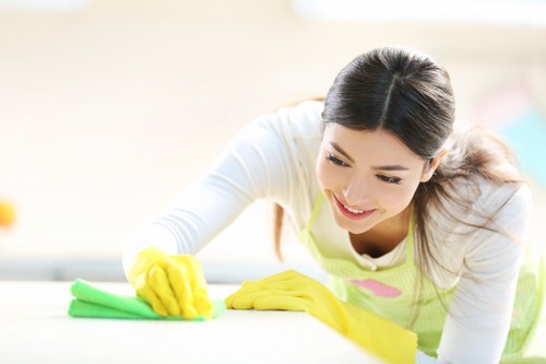 Deep carpet cleaning equipment being used in a Putney property
