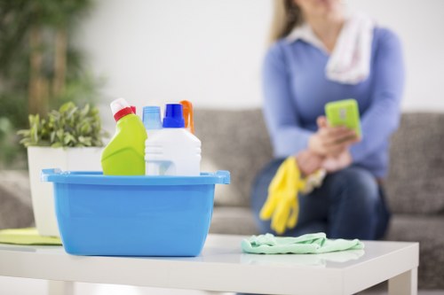 Bathroom and living space domestic cleaning in Putney