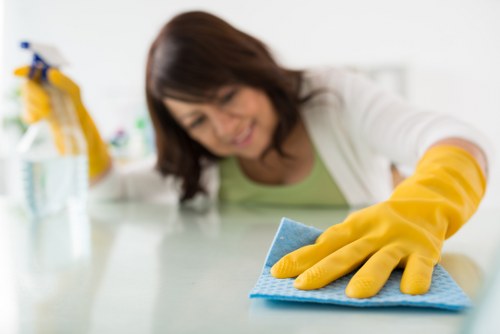 Local Putney oven cleaner removing grease and burnt-on residue