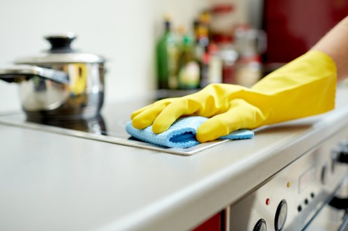 Regular housekeeping support in a Putney flat