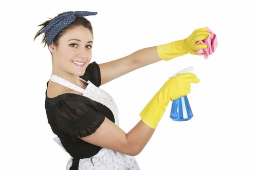 Domestic cleaner working in a Putney kitchen