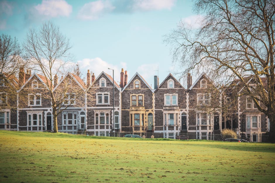 A row of Victorian terraced houses with stone facades, pitched roofs, and large sash windows along Lower Richmond Road. The buildings are surrounded by leafless trees and a well-maintained grassy area in the foreground. The scene is illuminated by soft natural daylight with a clear blue sky, reflecting the clean, exterior surfaces of the houses. The image emphasizes the historic architecture typical of Putney, showcasing the exterior of residential properties that may benefit from regular cleaning and maintenance by Putney Cleaner, as referenced on the page about clearing mould and deep cleaning in Victorian terraces.